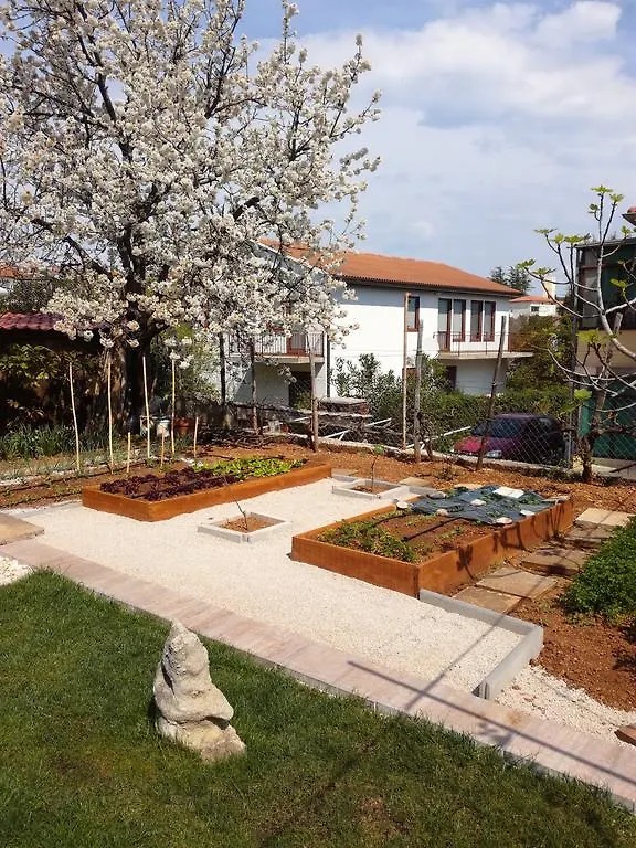 Apartment Duka Krk Island Croatia